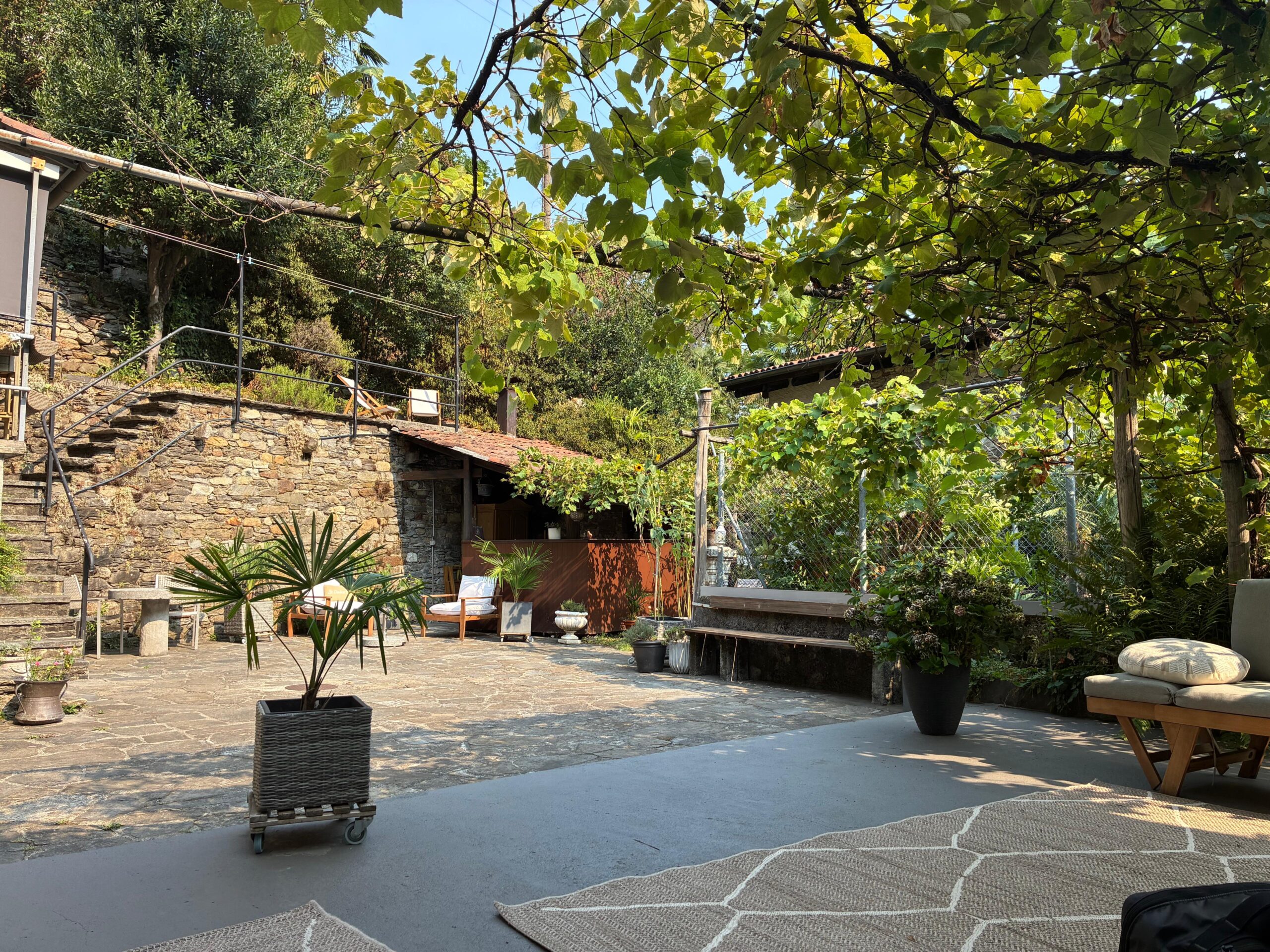 Events bei Suana